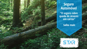 O seguro automóvel cobre queda de árvores em carros?